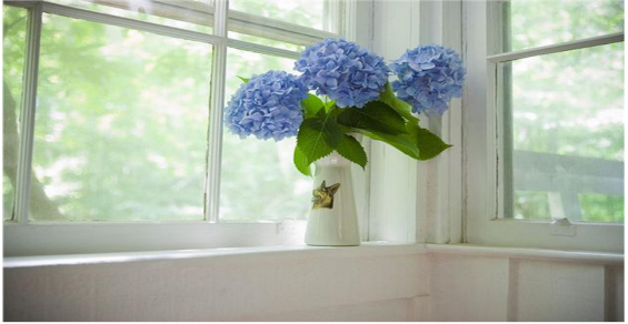 中国·永利yl23455(股份)有限公司-官方网站