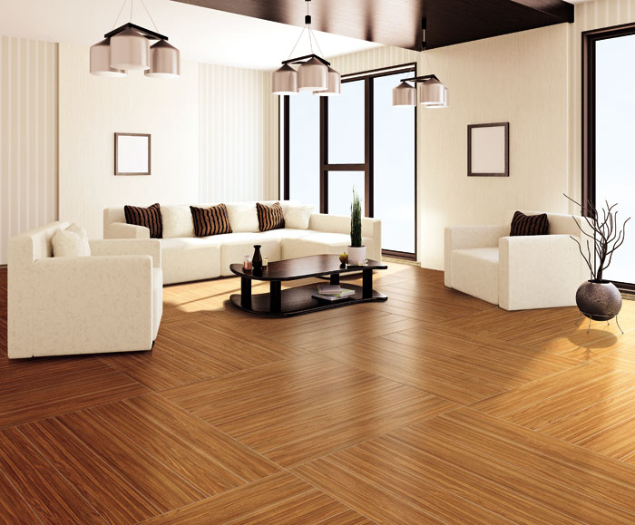 最美，，，不过当阳光遇上森林