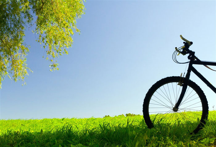 即即是春风十里，，，，，依然不如你