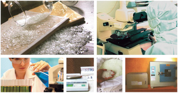 中国·永利yl23455(股份)有限公司-官方网站