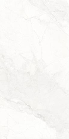 KZS189506 寒江雪
